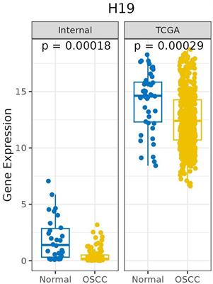 Long non-coding RNA H19 as a prognostic biomarker for oral squamous cell carcinoma